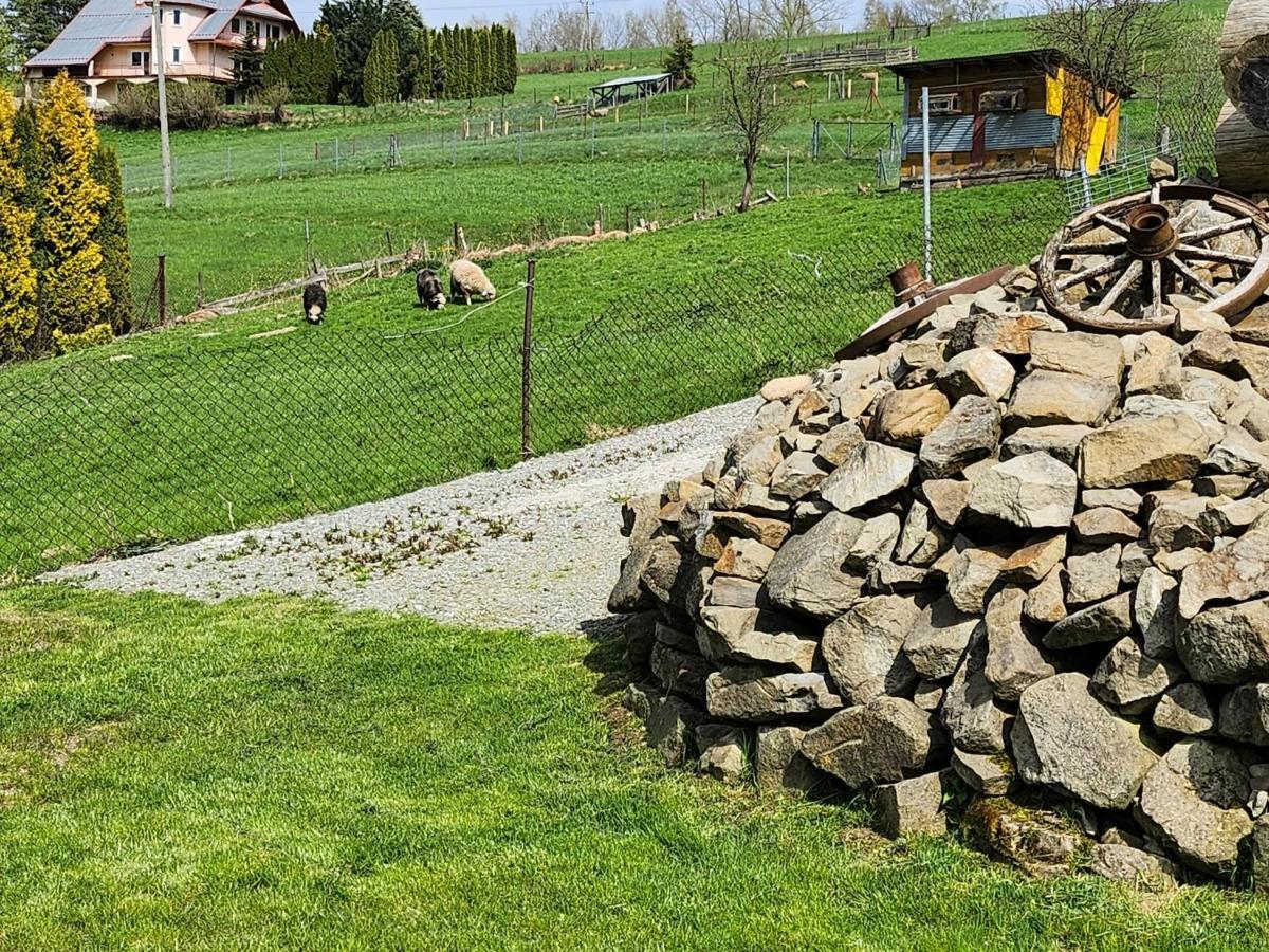 Apartament U Ewki Rdzawka エクステリア 写真